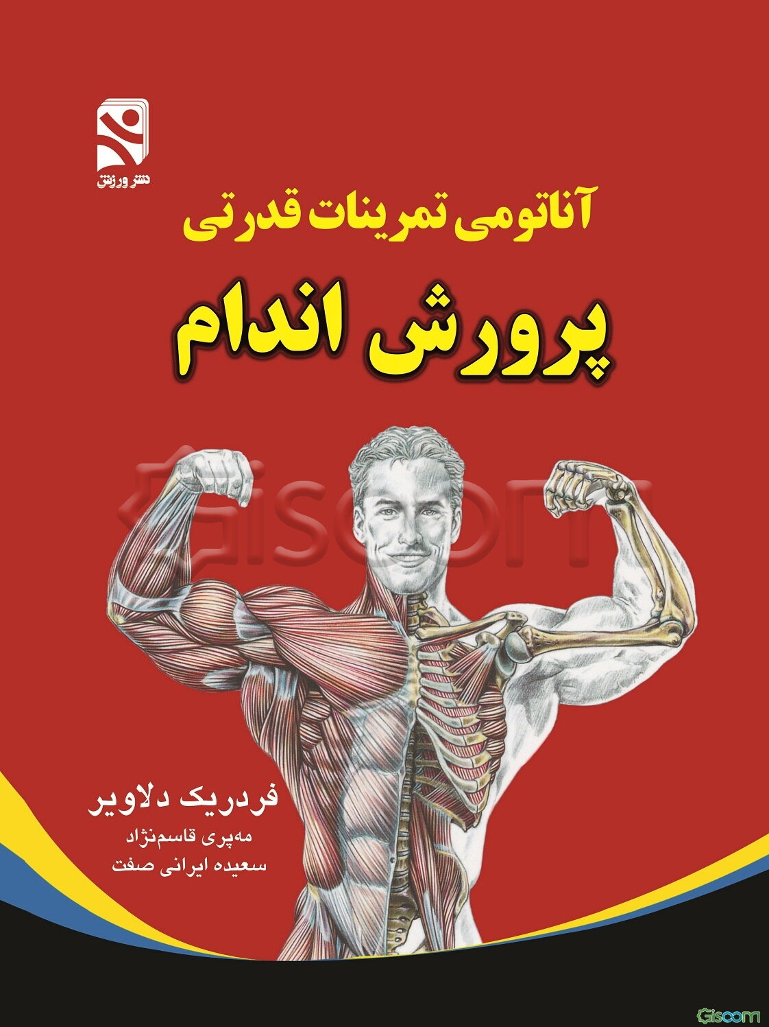 آناتومی تمرینات قدرتی در پرورش اندام