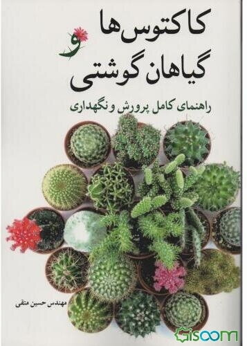 کاکتوس‌ها و گیاهان گوشتی: راهنمای کامل پرورش و نگهداری