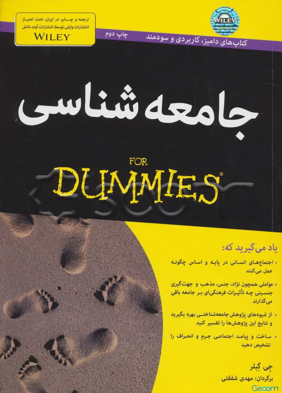 جامعه‌شناسی for dummies