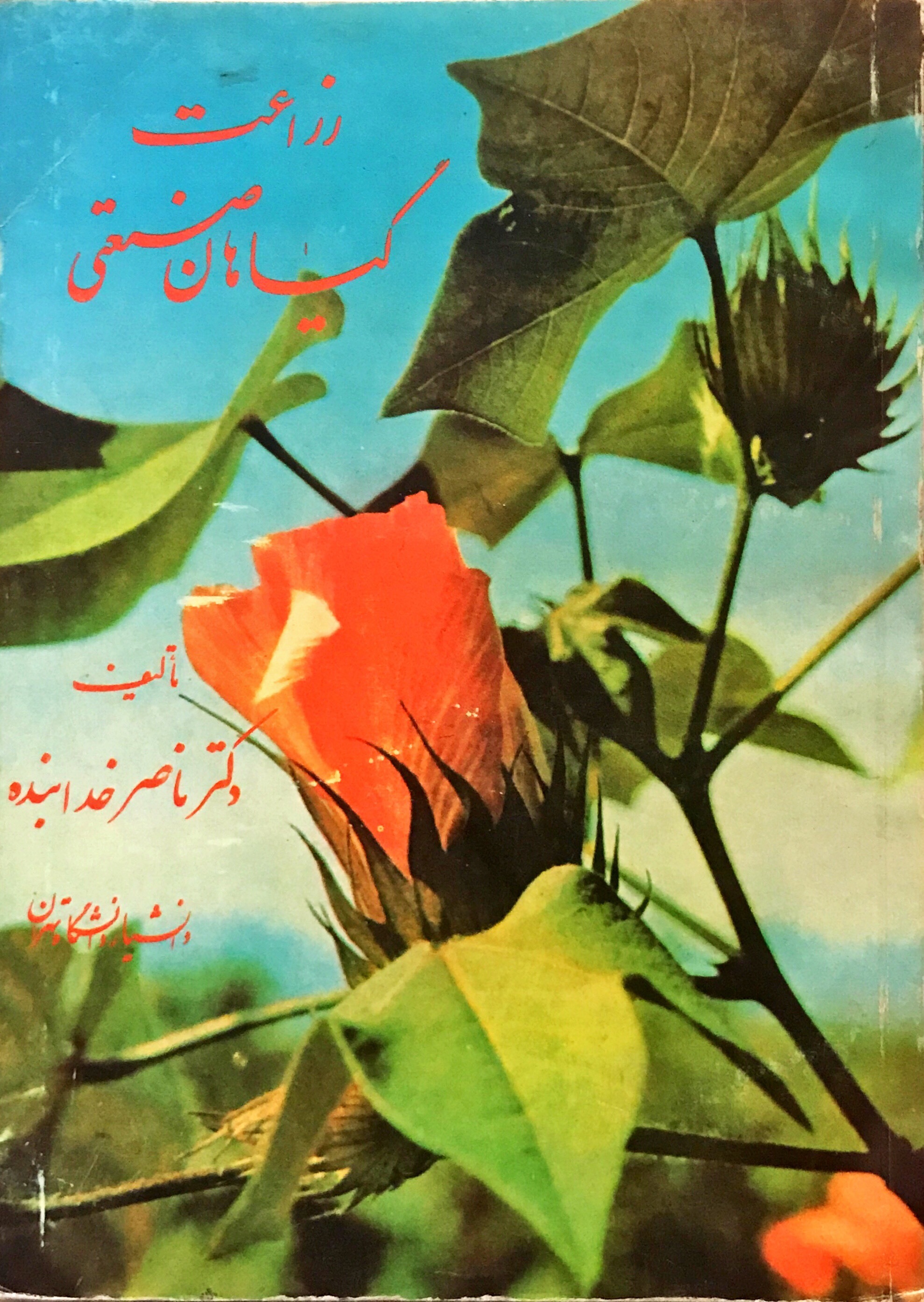 زراعت: گیاهان صنعتی