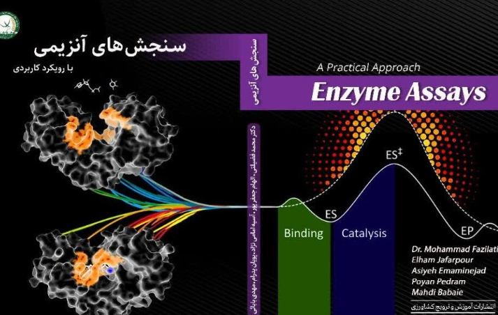 سنجش‌های آنزیمی: یک رویکرد کاربردی